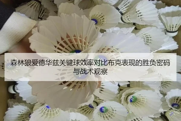 森林狼爱德华兹关键球效率对比布克表现的胜负密码与战术观察